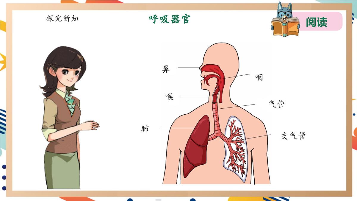 【大单元整体教学】4.2我们的呼吸器官 课时课件第6页