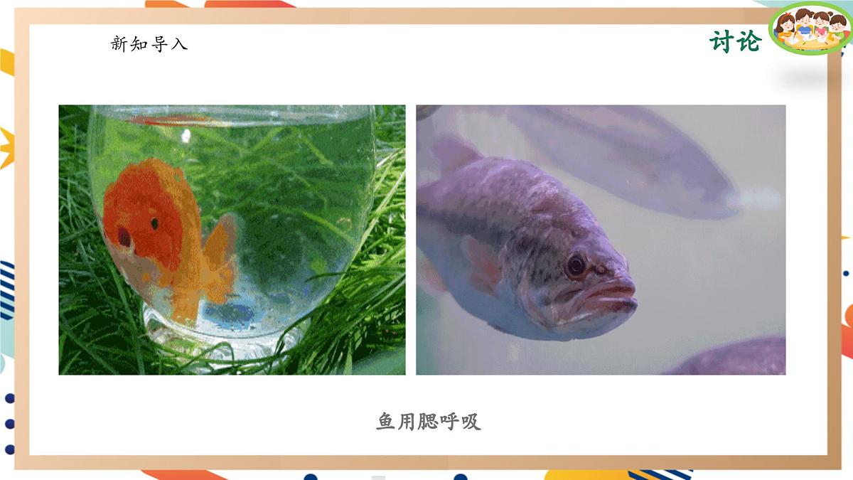 【大单元整体教学】4.3肺是怎样呼吸的 课时课件第2页