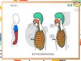 【大單元整體教學(xué)】大象版科學(xué)四年級上冊4.3肺是怎樣呼吸的 單元整體設(shè)計(jì)+課件+教案+素材
