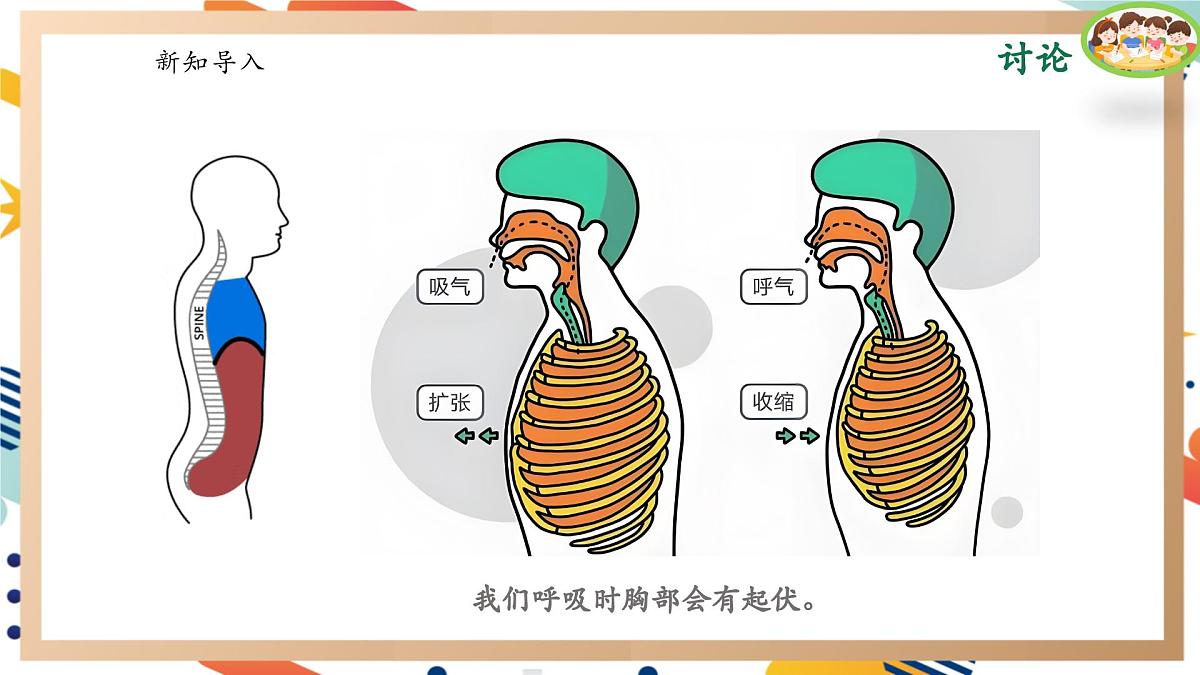 【大单元整体教学】4.3肺是怎样呼吸的 课时课件第3页