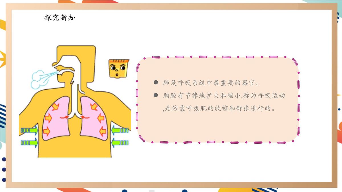 【大单元整体教学】4.3肺是怎样呼吸的 课时课件第5页