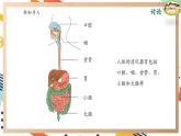 【大單元整體教學(xué)】大象版科學(xué)四年級(jí)上冊(cè)5.3胃中“奇遇記” 單元整體設(shè)計(jì)+課件+教案+素材