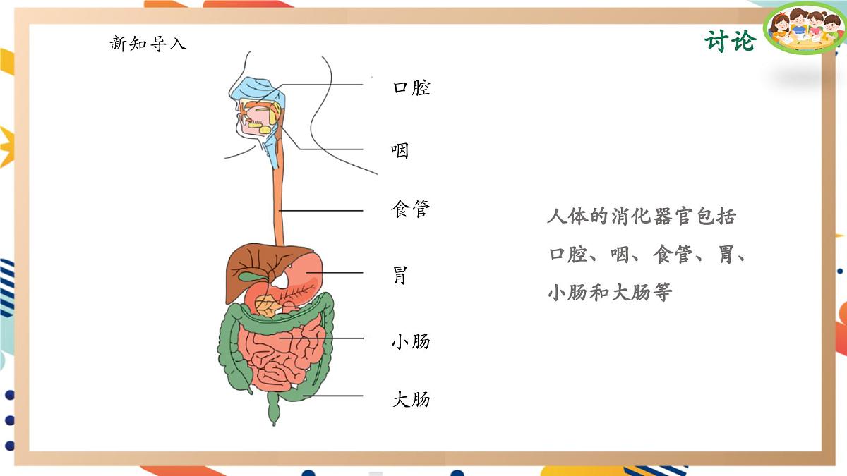 【大单元整体教学】5.3胃中“奇遇记” 课时课件第2页