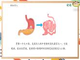 【大單元整體教學】大象版科學四年級上冊5.4蜿蜒的旅行 單元整體設(shè)計+課件+教案+素材