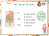 【大單元整體教學】大象版科學四年級上冊5.4蜿蜒的旅行 單元整體設(shè)計+課件+教案+素材