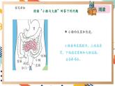 【大單元整體教學】大象版科學四年級上冊5.4蜿蜒的旅行 單元整體設(shè)計+課件+教案+素材