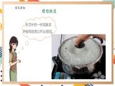 【大單元整體教學(xué)】大象版科學(xué)五年級(jí)上冊(cè)4.1火山噴發(fā) 單元整體設(shè)計(jì)+課時(shí)課件+課時(shí)教案+素材