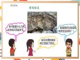 【大單元整體教學(xué)】大象版科學(xué)五年級(jí)上冊(cè)4.4地殼運(yùn)動(dòng) 單元整體設(shè)計(jì)+課時(shí)課件+課時(shí)教案+素材