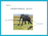 【大單元核心素養(yǎng)】教科版科學(xué)一下2.4《水中的動物》單元整體設(shè)計(jì)+教學(xué)課件+同步教案