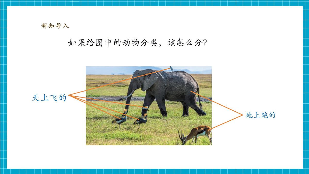 【大单元教学】2.4《水中的动物》课时课件第4页