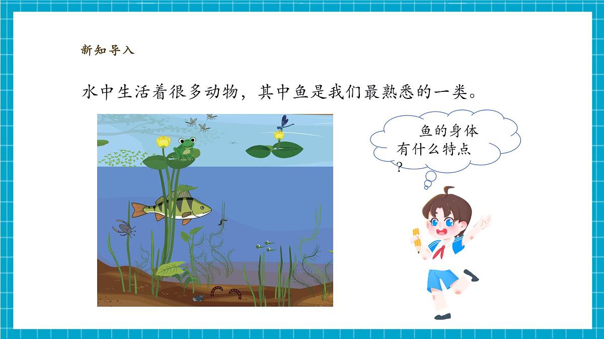 【大单元教学】2.4《水中的动物》课时课件第7页