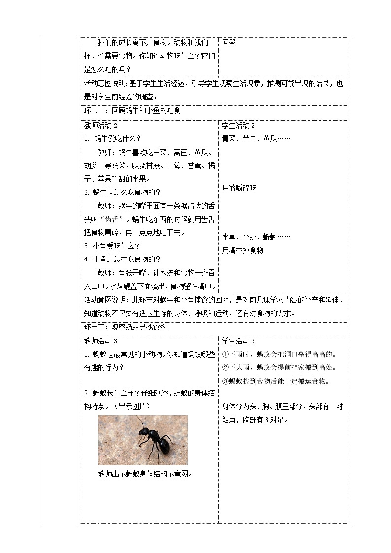 【大单元教学】2.5《它们吃什么》课时教案第2页