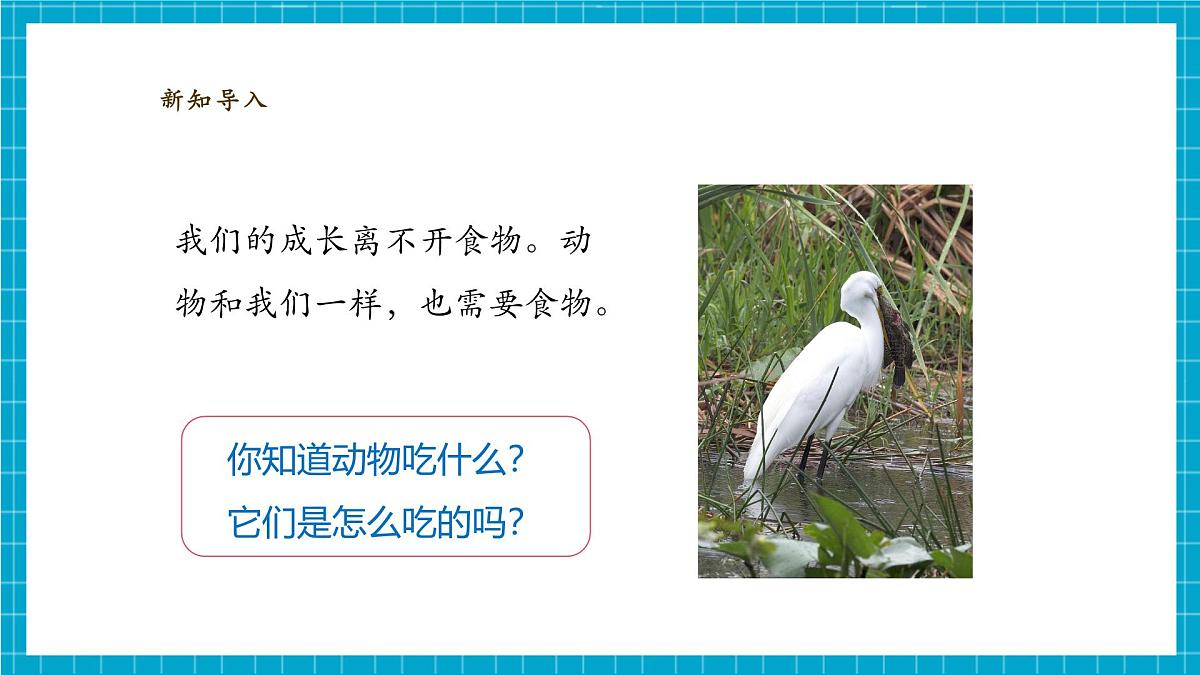 【大单元教学】2.5《它们吃什么》课时课件第4页