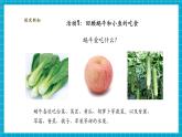 【大單元核心素養(yǎng)】教科版科學(xué)一下2.5《它們吃什么》單元整體設(shè)計(jì)+教學(xué)課件+同步教案
