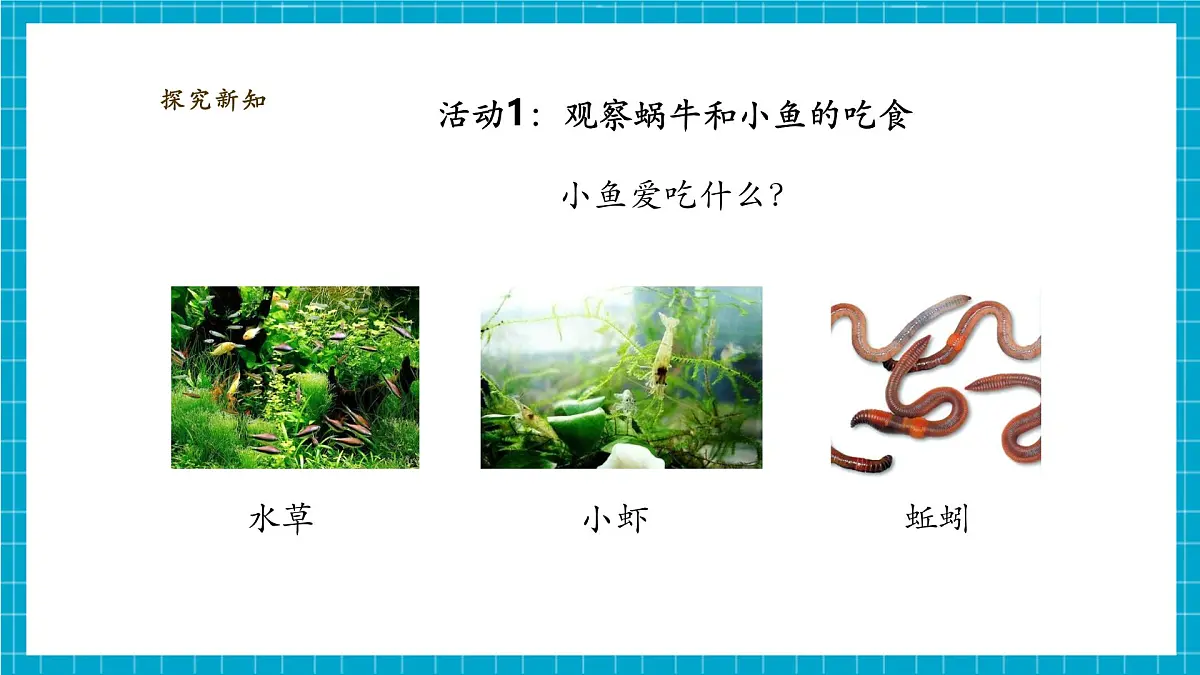 【大单元教学】2.5《它们吃什么》课时课件第7页
