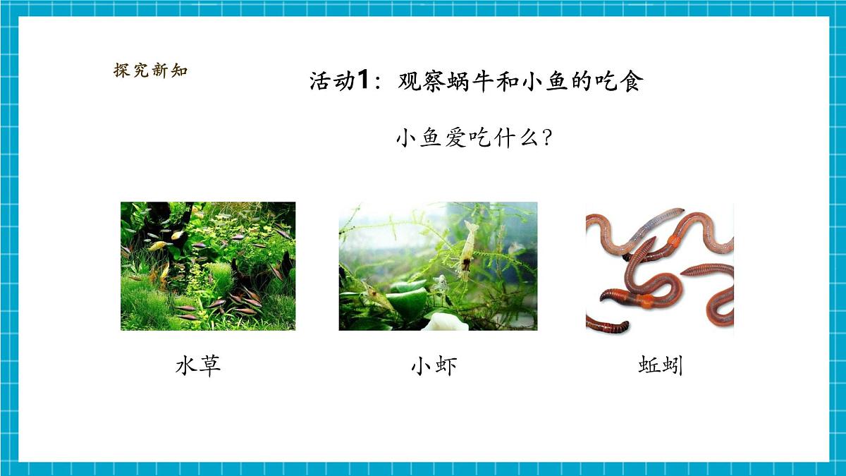 【大单元教学】2.5《它们吃什么》课时课件第7页