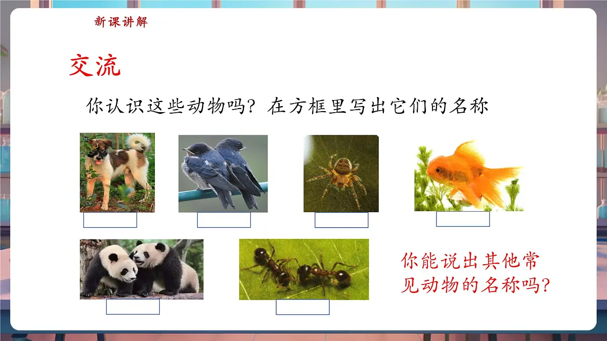 【核心素养】苏教版（新教材）科学一下4.10《形形色色的动物》课件（15张PPT）第4页