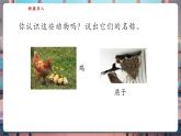 【核心素養(yǎng)優(yōu)質(zhì)課】蘇教版一年級下冊科學4.12《動物與植物》（教學課件+同步教案含反思）