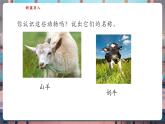 【核心素養(yǎng)優(yōu)質(zhì)課】蘇教版一年級下冊科學4.12《動物與植物》（教學課件+同步教案含反思）