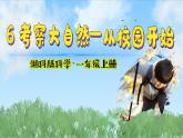 （2024）新版湘科版科學(xué)一年級(jí)上冊（6） 考察大自然-從校園開始-PPT課件