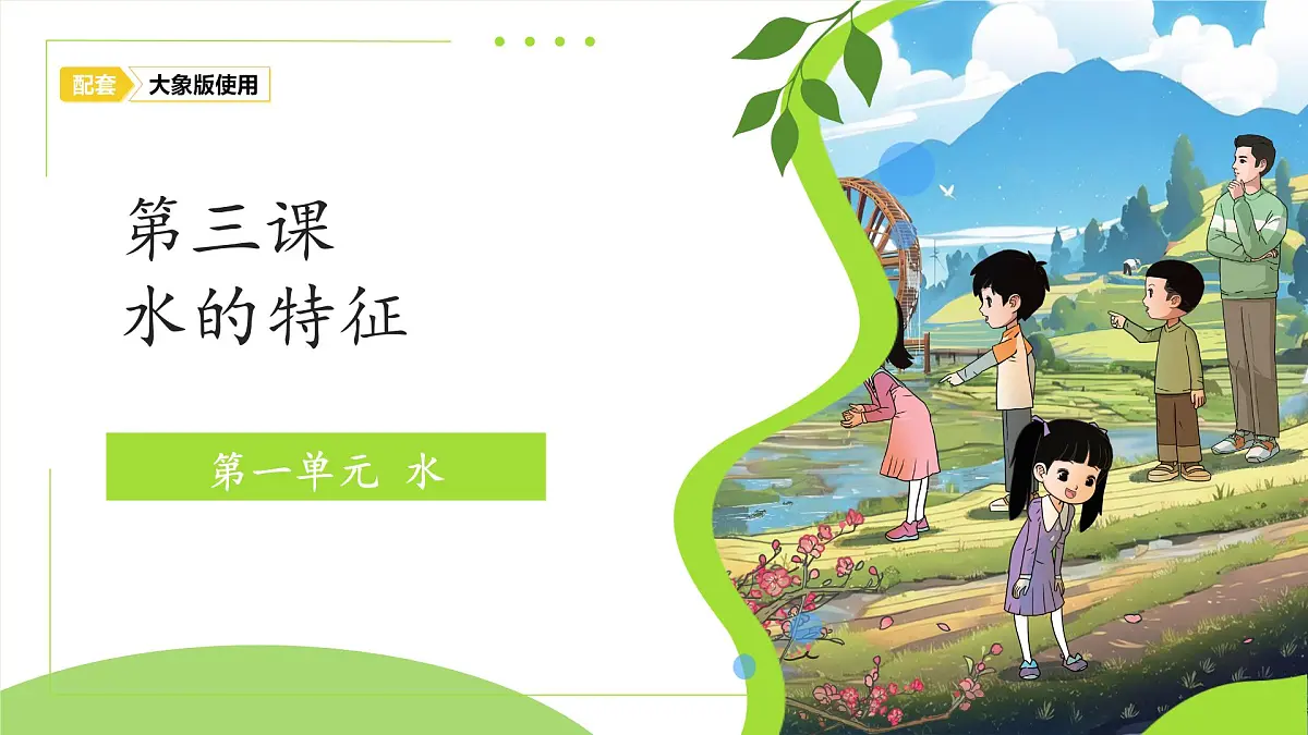 1.3 水的特征 课件 2024-2025学年科学一年级下册大象版（2024）教案第1页