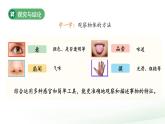 1.3 水的特征 課件  2024-2025學(xué)年科學(xué)一年級(jí)下冊(cè)大象版（2024）教案