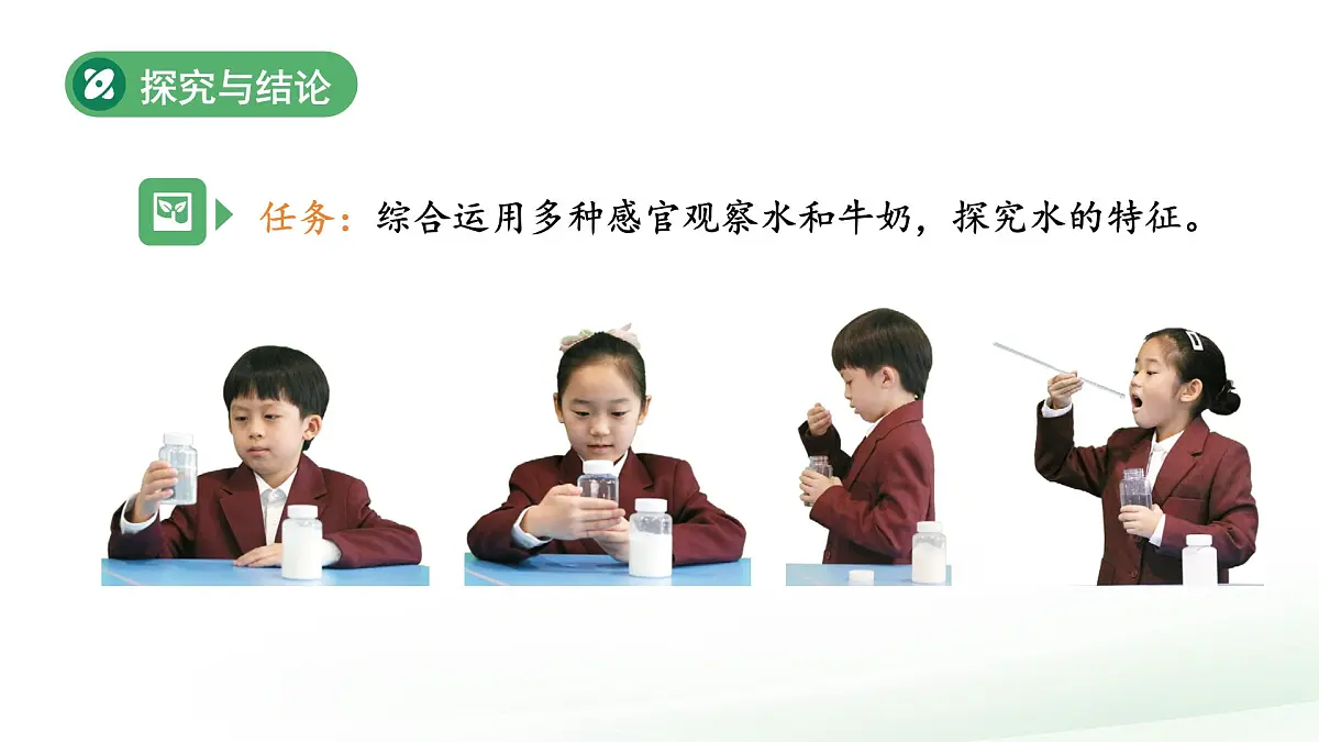 1.3 水的特征 课件 2024-2025学年科学一年级下册大象版（2024）教案第6页