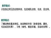 7.2024教科版一年級科學(xué)下冊第二單元常見的動(dòng)物單元小結(jié)課件