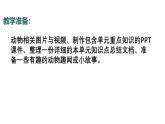 7.2024教科版一年級科學(xué)下冊第二單元常見的動(dòng)物單元小結(jié)課件