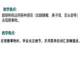 8.2024教科版一年級(jí)科學(xué)下冊(cè)第二單元常見的動(dòng)物科學(xué)閱讀課件
