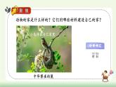 【核心素養(yǎng)】教科版小學科學 二年級上冊 1.1 動物的家  課件