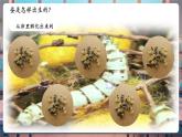 【核心素養(yǎng)優(yōu)質(zhì)課】教科版科學(xué)三年級下冊2.7 動物的繁殖（教學(xué)課件+同步教案含反思）