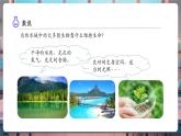【核心素養(yǎng)優(yōu)質(zhì)課】教科版科學(xué)五年級下冊3.7 分析一個實際的環(huán)境問題（教學(xué)課件+同步教案含反思）