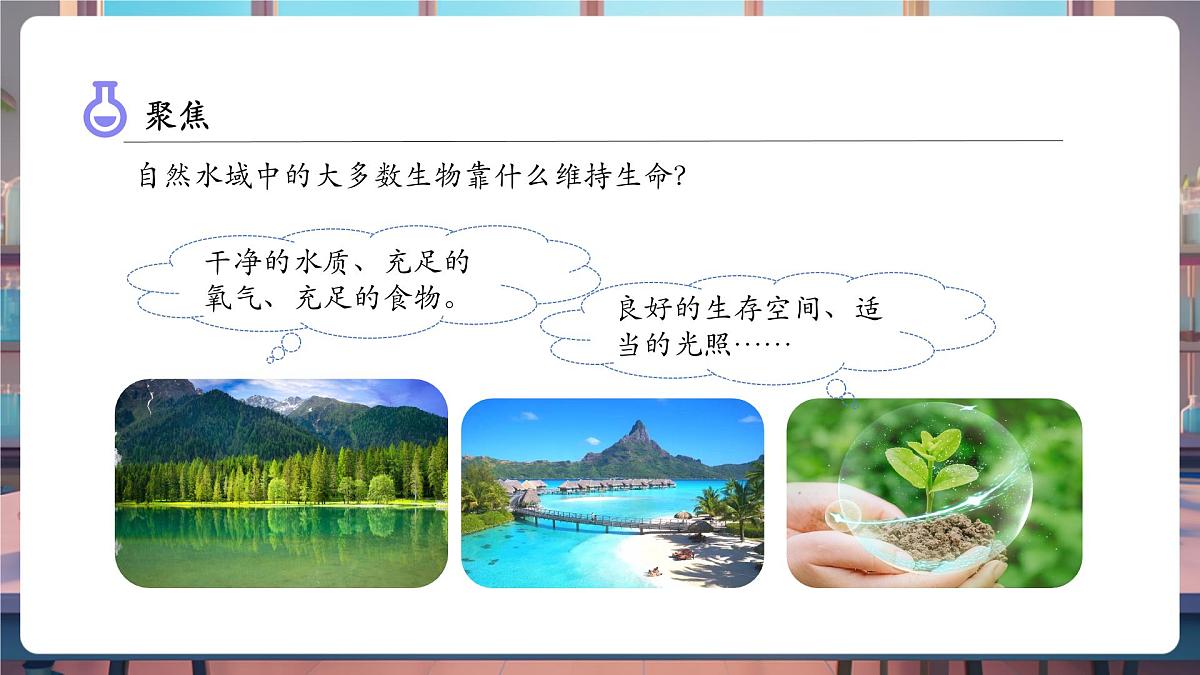 3.7 分析一个实际的环境问题（教学课件）第5页
