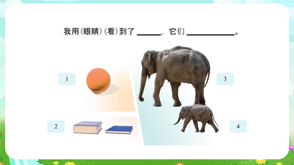 人教鄂教版科学一年级上册第四课《我们怎样知道》（第2课时）_课件第5页