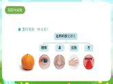 人教鄂教版科學一年級上冊第五課《觀察水果》課件+教案+任務單