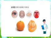 人教鄂教版科學一年級上冊第五課《觀察水果》課件+教案+任務單