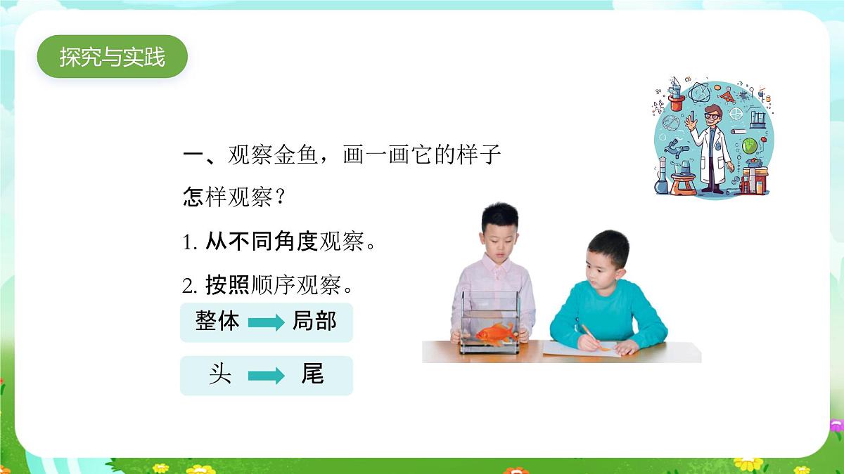 人教鄂教版科学一年级上册第七课《金鱼》课件第4页
