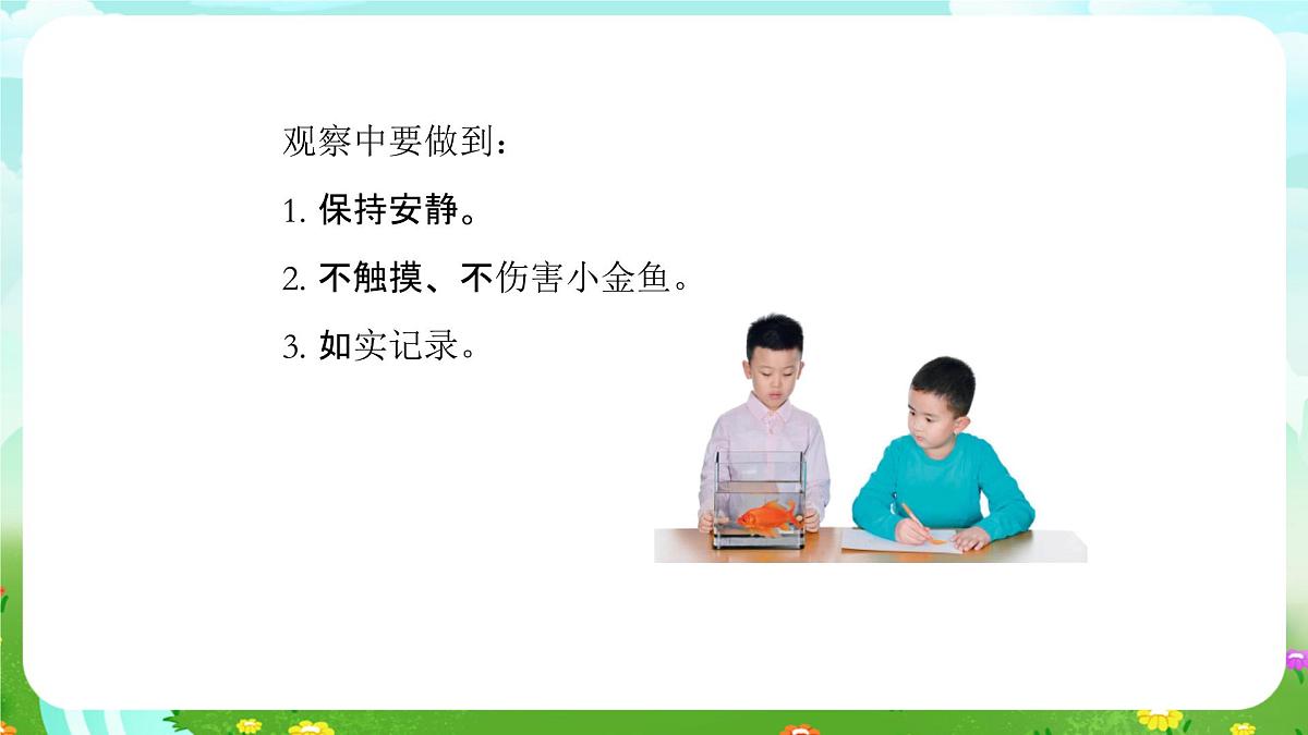 人教鄂教版科学一年级上册第七课《金鱼》课件第5页