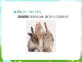 人教鄂教版科學一年級上冊第八課《貓和兔》（第一課時）課件+教案+任務單