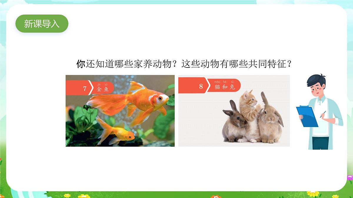 人教鄂教版科学一年级上册第九课《更多的家养动物》课件第2页