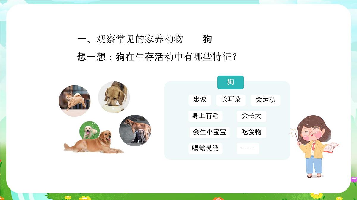 人教鄂教版科学一年级上册第九课《更多的家养动物》课件第4页