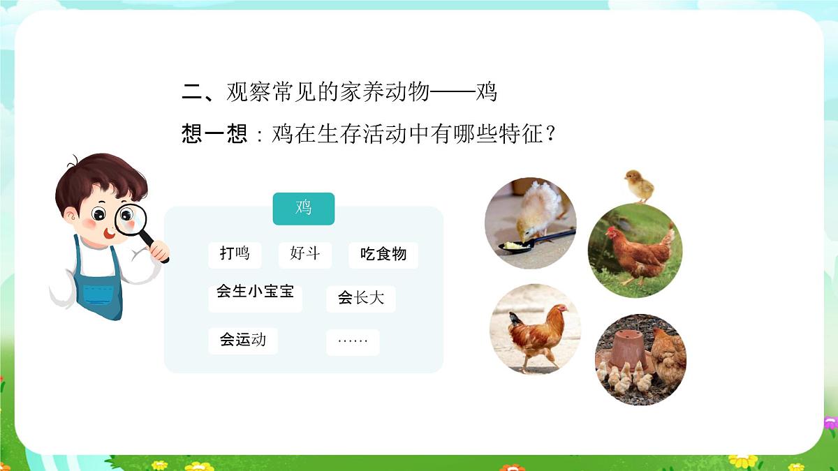 人教鄂教版科学一年级上册第九课《更多的家养动物》课件第5页