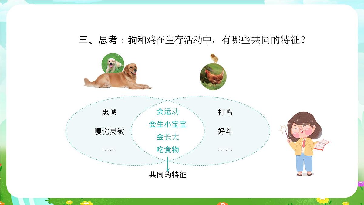 人教鄂教版科学一年级上册第九课《更多的家养动物》课件第6页