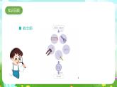 人教鄂教版科學一年級上冊第十二課《制作杯墊》（第二課時）課件+教案+任務單