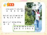新教材-教科版-小學(xué)科學(xué) 一年級(jí)上冊(cè) 1.2 觀察植物 課件
