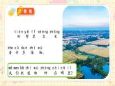 新教材-教科版-小學科學 一年級上冊 1.3 植物長在哪里 課件