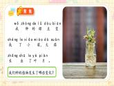 新教材-教科版-小學(xué)科學(xué) 一年級上冊 1.5 植物的變化 課件