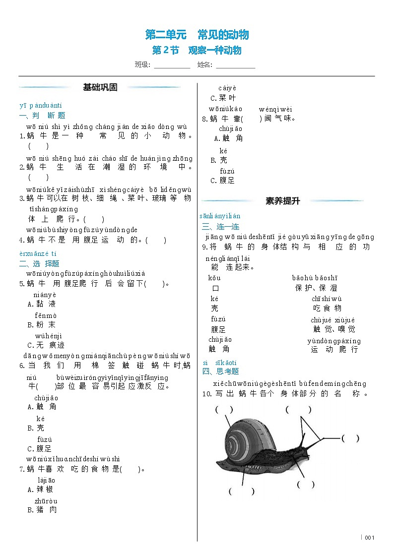 教科版（2024）科学一年级下册2 .2 观察一种动物 同步练习（含答案）第1页