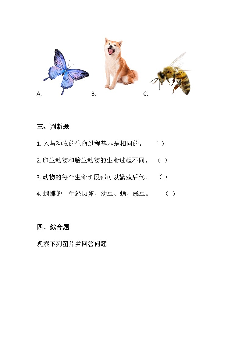 三年级科学上册（大象版)第2.4课 动物的一生(同步练习)（含答案）第2页